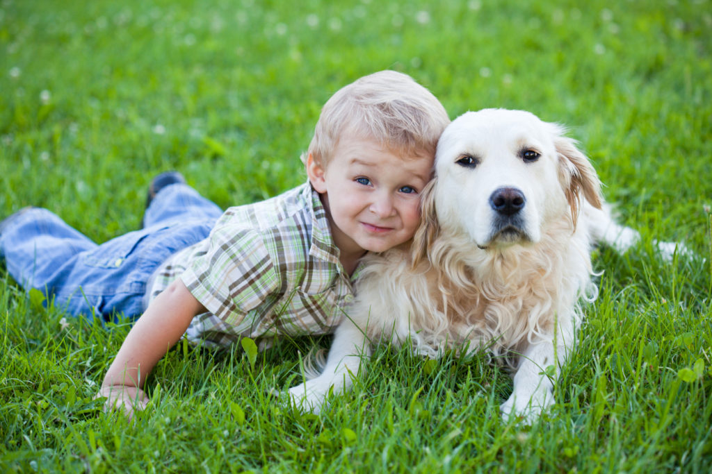 Cute toddler blonde boy with golden retriever hugging close up