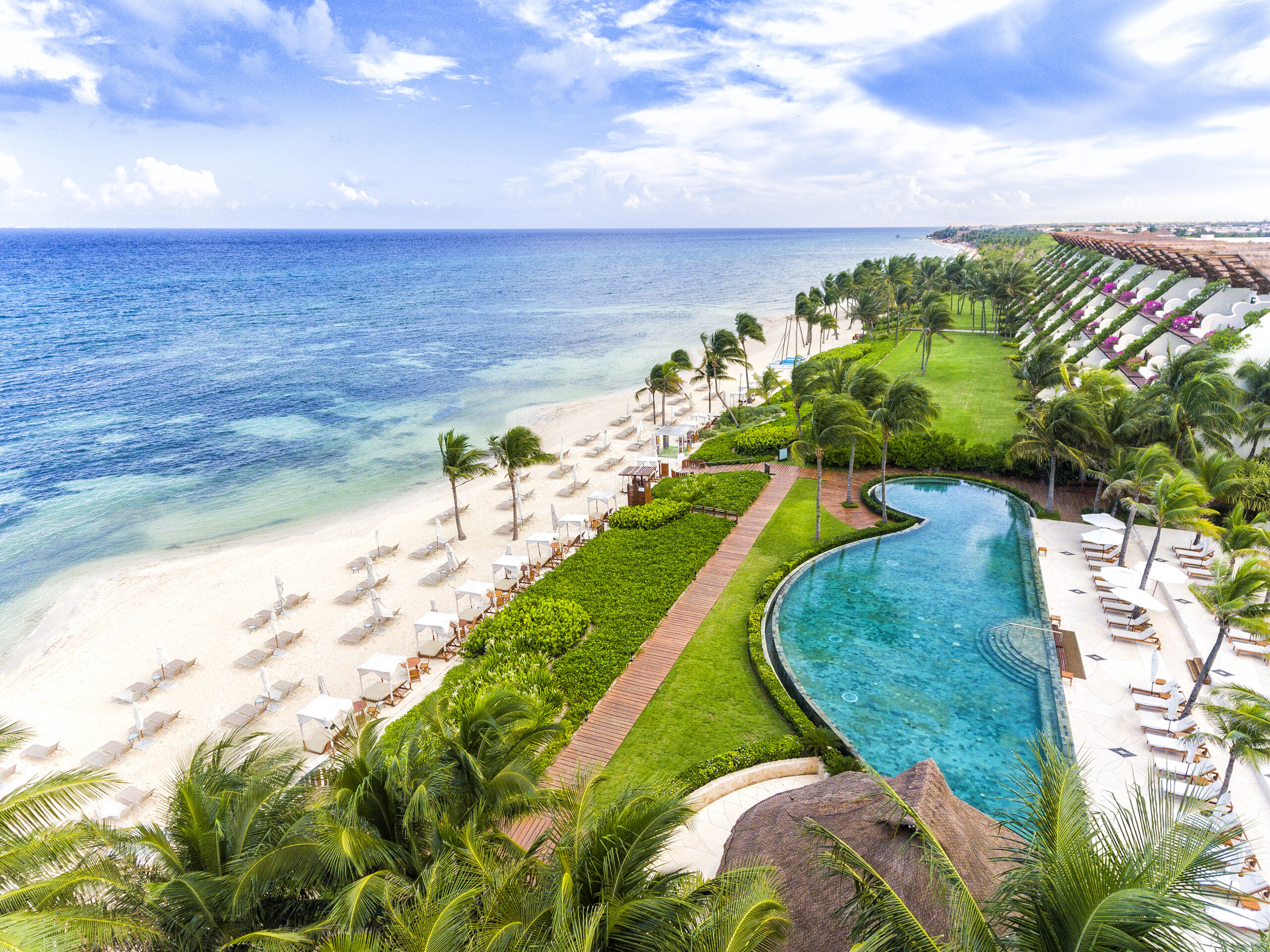 A tropical beach resort with palm trees and a curved pool.