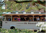 Tourists enjoying a ride on the Old Savannah trolley under sprawling tree branches.