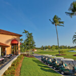 Golf carts lined up near a clubhouse on a sunny day.