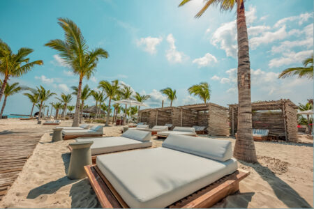 Luxurious poolside lounge beds under palm trees with clear skies.