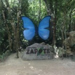 Large blue butterfly wings art installation at Zapote in a forested area.
