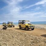 Yellow jeeps driving along a rocky coastal road by the sea.