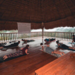 Group doing push-ups in a covered outdoor area with a wooden roof.