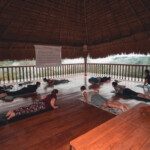 Group doing push-ups in a covered outdoor area with a wooden roof.
