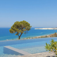 A lone tree near a serene infinity pool overlooking the ocean and coastline.