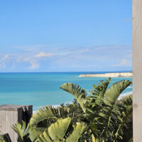 Tropical beach scene with blue ocean and palm trees under a clear sky.