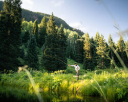 Person fishing in a lush, green forest clearing near a hill.