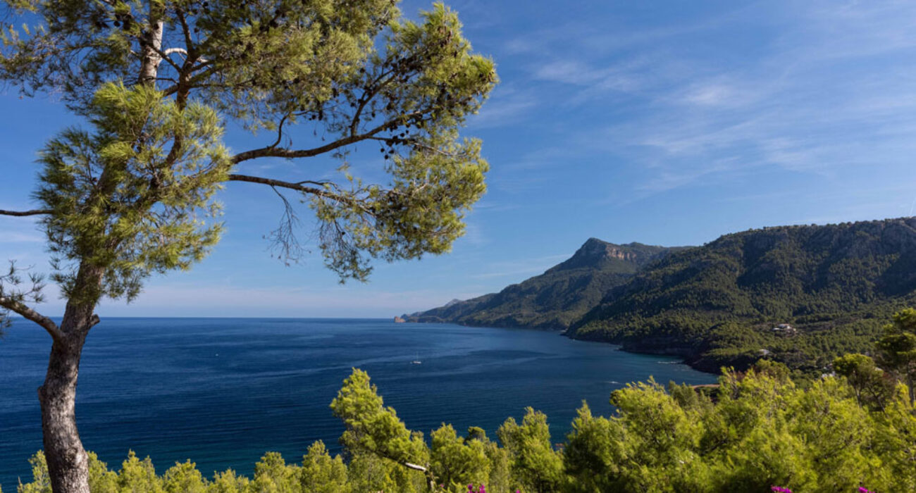 Scenic coastal view with mountains, blue sea, and flowers.